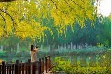 国产91乱精品麻豆-国产91乱精品麻豆，网络内容多样性与审慎选择