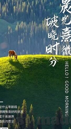 糖心社区app-揭秘糖心社区APP，探索社交与娱乐的交织